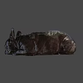 Black French Bulldog Lying On Orange Background Looking Cute And Relaxed