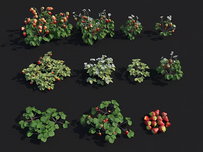 Fresh Ripe Strawberry Plants With Green Leaves And Red Fruits On Black Background 3d model