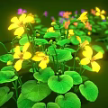 Green Plant Pots With Colorful Flowers And Lush Foliage On Green Background