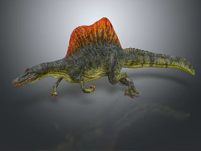 Detailed Spinosaurus Dinosaur 3D Model With Red Orange Sail Green Body 3d model