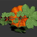 Pumpkin Shaped Commercial Display Equipment With Green Leaves And Red Fruit