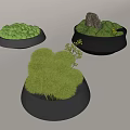 Small Green Moss Plant Decorative Landscapes In Black Containers With Stone