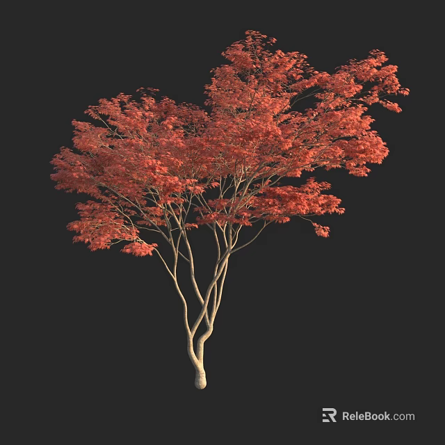 Vibrant Red Leaf Arbor With White Trunk And Natural Tree Shape 3d model 
