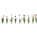 Beautiful Various Colored Tulips with Green Leaves and Different Petal Tones