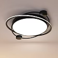 Modern Circular Ceiling Lights With Black And White Ring Design For Interior Lighting 3d model
