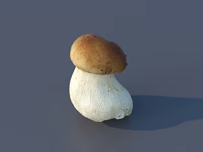 Whole Fresh Brown Cap Mushroom with White Stem on Gray Background 3d model