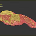 3D Island Terrain Model With Green Vegetation Brown Rocks And Ocean Waves