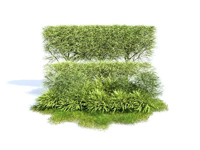 Lush Green Layered Shrubs With Dense Foliage And Varied Plant Heights 3d model