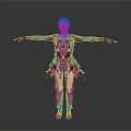 Female Warrior Character With Creature Inspired Mechanical Armor Design 3d model