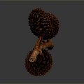 Rustic Wooden Branch Adorned With Brown Pine Cones For Home Decoration