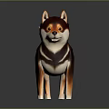 Shiba Inu 3D Model with Brown and White Fur Standing on Dark Background with Reflection
