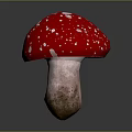 Red Mushroom With White Spots Fresh Natural Food Ingredient For Cooking