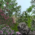 Lush Garden Landscape With Colorful Pink Flowers Green Palms And Natural Rocks
