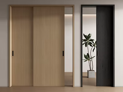Light Wood And Dark Gray Interior Sliding Doors With Open Panel And Plant Background 3d model