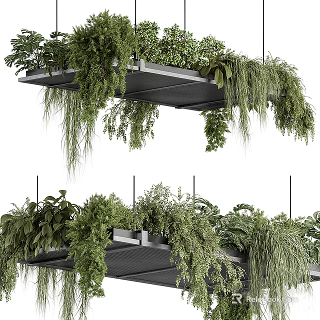 Lush Hanging Plants Indoor Decor With Cascading Green Foliage And Suspended Metal Shelves 3d model 