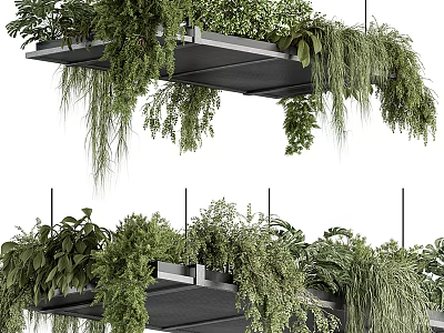 Lush Hanging Plants Indoor Decor With Cascading Green Foliage And Suspended Metal Shelves 3d model