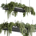 modern hanging basket indoor 3d model