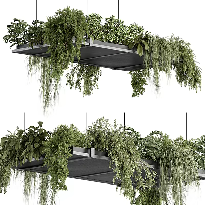 Lush Hanging Plants Indoor Decor With Cascading Green Foliage And Suspended Metal Shelves 3d model