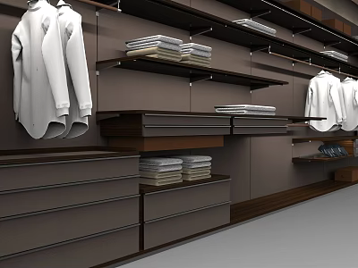 Modern Wardrobe Storage System With Hung Clothes Folded Garments Drawers And Shelves 3d model