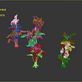 Colorful Flowering Plants With Pink Red Yellow Flowers Green Leaves On Gray Background
