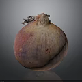 Fresh Vibrant Organic Onion With Pink Orange Purple Hues On Dark Surface