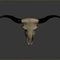 Detailed Animal Skull With Long Black Horns On Dark Surface