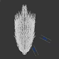 Realistic Black Porcupine With Long Sharp Quills Standing In Natural Pose