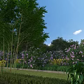 Lush Garden Landscape With Green Trees Purple Flowers Yellow Blossoms And Neat Lawn