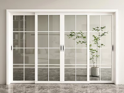 Modern White Sliding Doors With Glass Panes In Interior Space And Green Plant 3d model