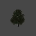 Weeping Willow Tree With Long Hanging Branches And Green Leaves In Natural Landscape