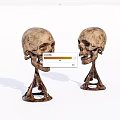 Two Detailed Skull Sculpture Carving With Metal Stand Handcrafted Artwork