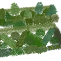 Diverse Shaped Shrubs In Garden Landscape With Trimmed Greenery And Varieties