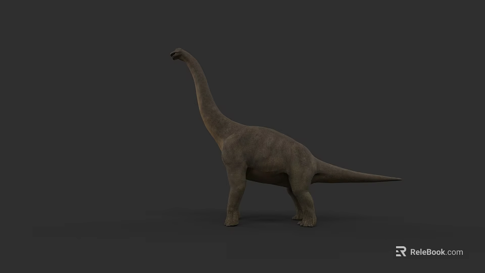 Giant Reptile Dinosaur With Long Neck Standing On Gray Background 3d model 