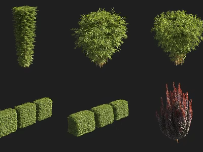 Various Types of Trimmed Shrubs in Different Shapes for Landscaping Design 3d model