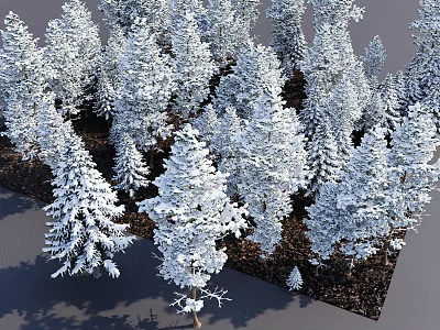 Snow Covered Coniferous Trees In Winter Forest Landscape With Pristine White Snow 3d model