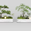 Two Bonsai Plants In Marble Planters With Small Lights And Surrounding Greenery