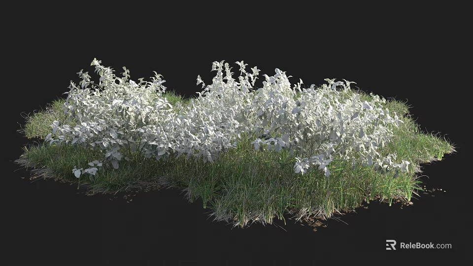 Dense White Shrubs Thriving With Lush Green Grass In Outdoor Space 3d model 