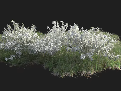 Dense White Shrubs Thriving With Lush Green Grass In Outdoor Space 3d model