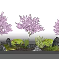 Charming Garden Ornament with Pink Flowering Trees Rocks Green Plants and Small Lantern