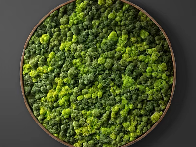 Circular Wooden Framed Feature Wall Decorated With Green And Yellow Moss 3d model