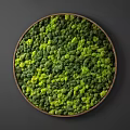 Circular Wooden Framed Feature Wall Decorated With Green And Yellow Moss