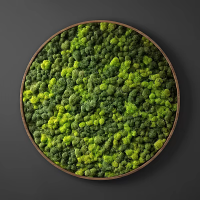 Circular Wooden Framed Feature Wall Decorated With Green And Yellow Moss 3d model