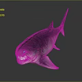 Realistic 3D Fish Model With Detailed Fins Sleek Tail And Gray Background