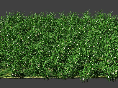 Lush Green Grass With Slender Leaves And Tiny White Flowers 3d model