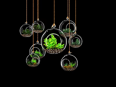 Decorative Hanging Spherical Glass Vases With Green Plants On Black Background 3d model