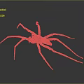 Brown Spider With Long Legs And Distinct Abdomen On Gray Background 3d model