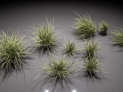 3D Rendered Green Grass Clumps With Various Shapes And Sizes For Decorative Design 3d model