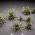 3D Rendered Green Grass Clumps With Various Shapes And Sizes For Decorative Design
