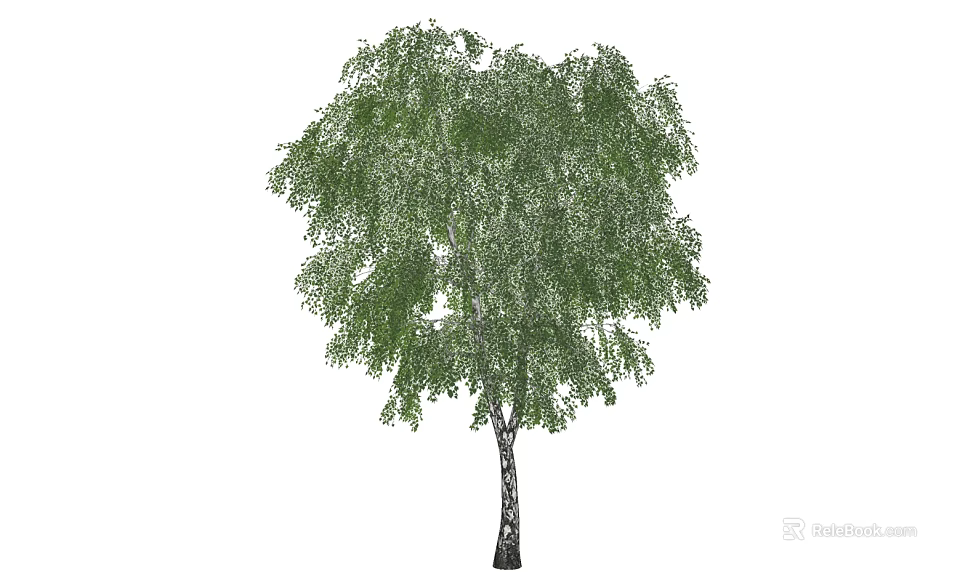 Tall Birch Tree With Lush Green Leaves And White Trunk In Nature 3d model 