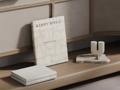 Kerry Joyce Interiors Book On Wooden Surface With Decorative Candle Holder And Light Cabinet 3d model